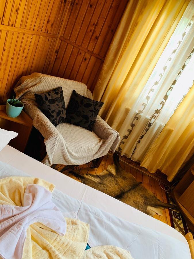 Casa Andu 호텔 Dîmbovicioara 외부 사진